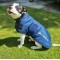 D043 Weir Large Dog Breed Coat in Navy